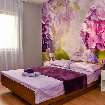 Apartman Gajtana דירה מסלניקה